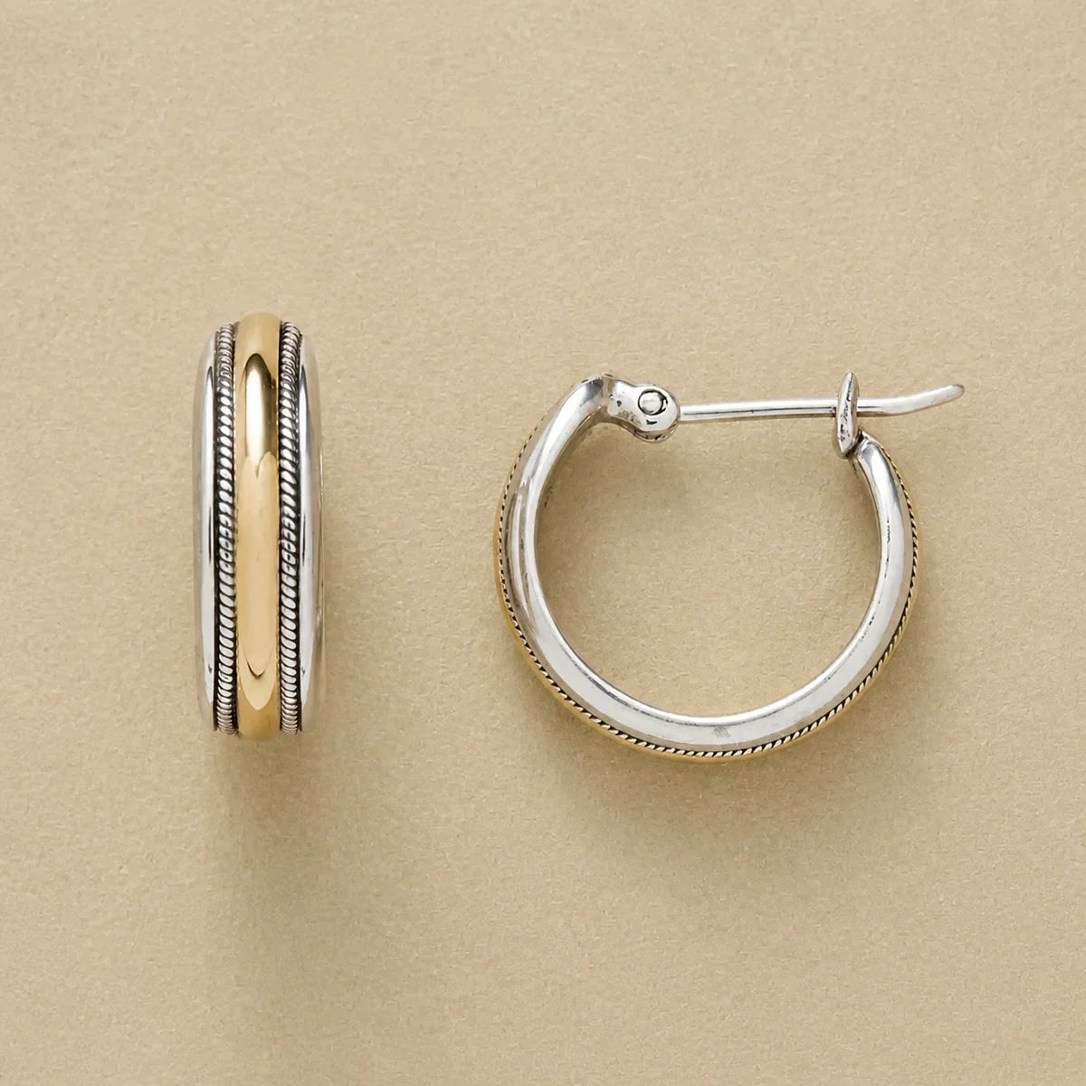 Shimmering Gold Silver Hoop Earrings
